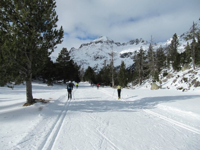 un camino por la nieve